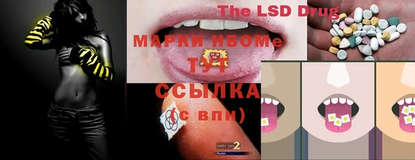 шишки Краснотурьинск
