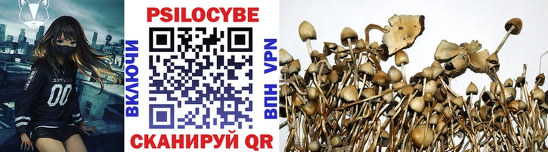 Купить где  Ярцево  Псилоцибиновые грибы Psilocybine cubensis 